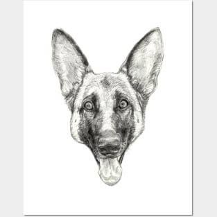 Cleo, the German Shepherd Posters and Art